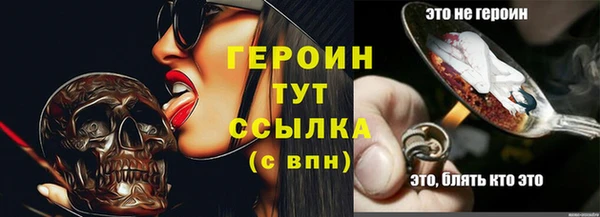 винт Лагань