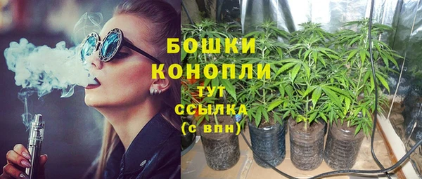 винт Лагань