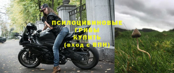 Альфа ПВП Лиски