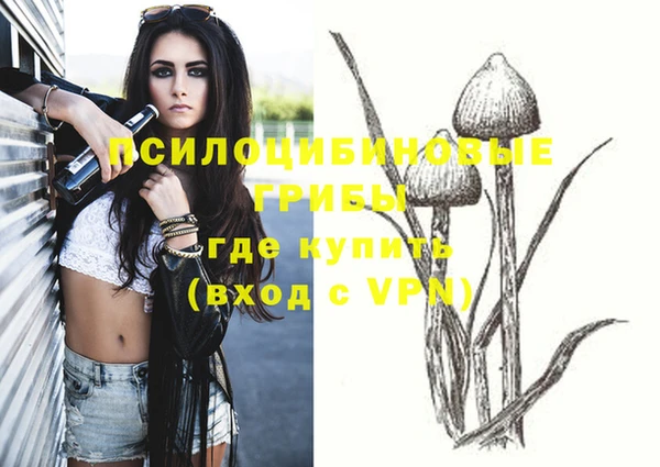 мяу мяу мука Ладушкин