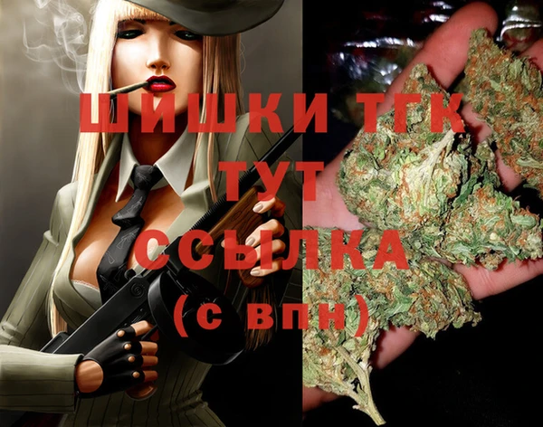 винт Лагань